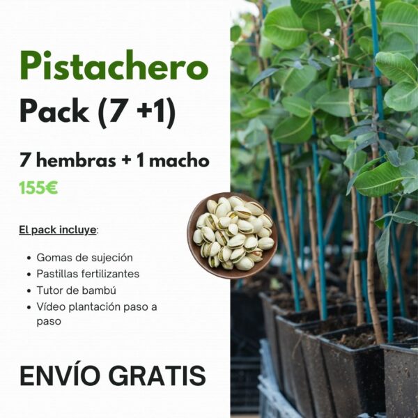 Pack Pistachero 7+1